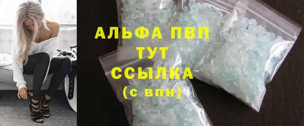 сатива Няндома