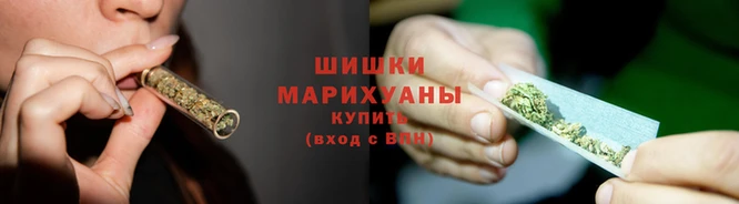 сатива Няндома