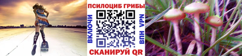 Псилоцибиновые грибы Magic Shrooms  сколько стоит  Ак-Довурак 